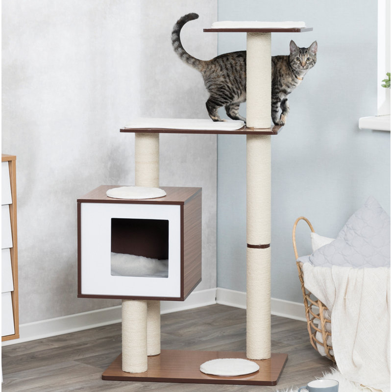 Tucker Murphy™ Pet 48" Grote Wooden Cat Tree & Reviews Wayfair